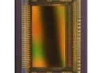 CMV2000-3E5M1PN Image Sensors