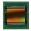 CMV300-4E7M1WP Image Sensors