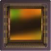 CMV4000-3E12M1CA  Sensors
