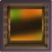 CMV4000-3E12M1LP  Sensors