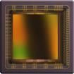 CMV4000-3E12M1LP Image Sensors