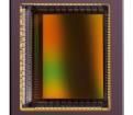 CMV8000ES-1E5M1PN Image Sensors