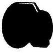 MS91528-1II2B Knobs & Dials