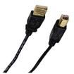 17-201091  Wire & Cable