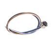41-40040  Wire & Cable