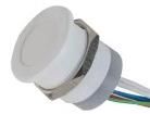 CPS22IF-PLWH-24RGB  Electromechanical