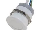 CPS22IF-PLWH-24RGB Pushbutton Switches