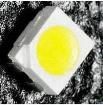 CLA1A-WKW-CXBYB453 Standard LEDs - SMD