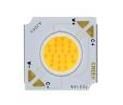 CTW091A-R090-000N0U0AAJG White LEDs