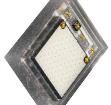 XEGARY-H2-0000-000-000000K2001 High Power LEDs - Single Colour