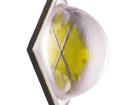 XHP70A-00-0000-0D0BN450E High Power LEDs - White