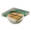 XMLAWT-00-0000-000LT30E5 Optoelectronics