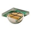 XMLBWT-00-0000-000US50E8 Optoelectronics