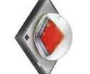 XPEBBL-L1-0000-00405 Single Colour LEDs