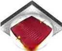 XPLAPR-LS-0000-00H01  Optoelectronics