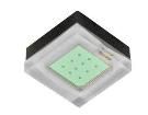 XQEAWT-H0-0000-P00000DE3  Optoelectronics