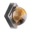 XQEAWT-00-0000-00000BCE4 High Power LEDs - White
