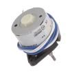 80910501 Stepper Motors
