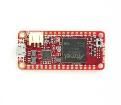 CS-GIANT-01 Embedded Solutions