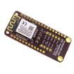 CS-GIANT-03 WiFi Development Tools - 802.11