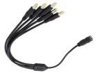 CSJ2155ST5P2155SR03  Wire & Cable