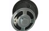 SP570445-2 Speakers & Transducers