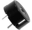 TP124005-1 Speakers & Transducers