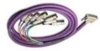 DB25M10XLRF  Wire & Cable
