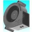 BFB0712L-F00  Thermal Management