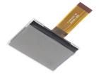 DEM 128064K FGH-PW/V  Optoelectronics