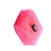 DSIC01THGET DIP Switches/SIP Switches