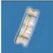 598-8350-117F  Optoelectronics