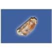 598-8370-117F  Optoelectronics