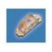 598-8540-202F electronic component of Dialight