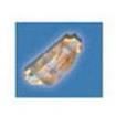 598-8540-202F  Optoelectronics