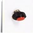 808-0332-500 Lamp Lenses