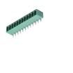 DB2ERC-3.81-12P-GN  Connectors