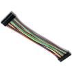 310-100  Wire & Cable