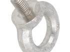 DIN 580-M10-A4 Screws & Fasteners