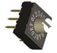 RH2AF-10R-V-B Coded Rotary Switches