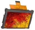 EA W800X-50AILW  Optoelectronics