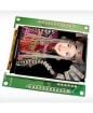INT024BTFT-TS TFT Displays & Accessories