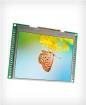 INT043BTFT  Optoelectronics