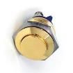 PV2S240NN Pushbutton Switches