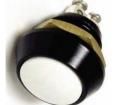 PV5S24011 Pushbutton Switches
