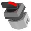 704.300.0I Pushbutton Switches