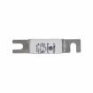 170M1311 Specialty Fuses