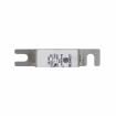170M1364 Specialty Fuses