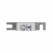 170M1367 Specialty Fuses