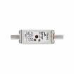 170M1561D Specialty Fuses